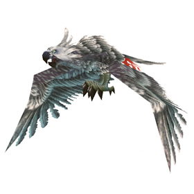 Cockatiel