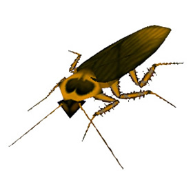 Undercity Cockroach