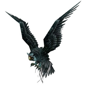 Hawk Owl
