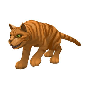 Orange Tabby Cat