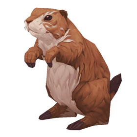 Brown Prairie Dog
