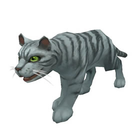 Silver Tabby Cat