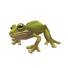 Tree Frog