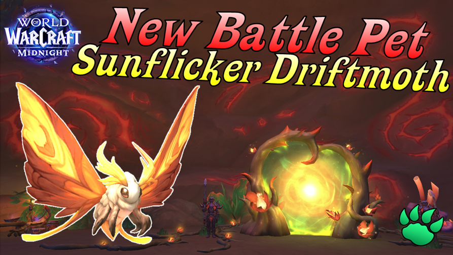 pml-images/Sunflicker Driftmoth Thumbnail