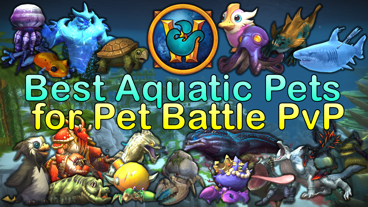 pml-images/Best Aquatic Pets for Pet Battle PvP
