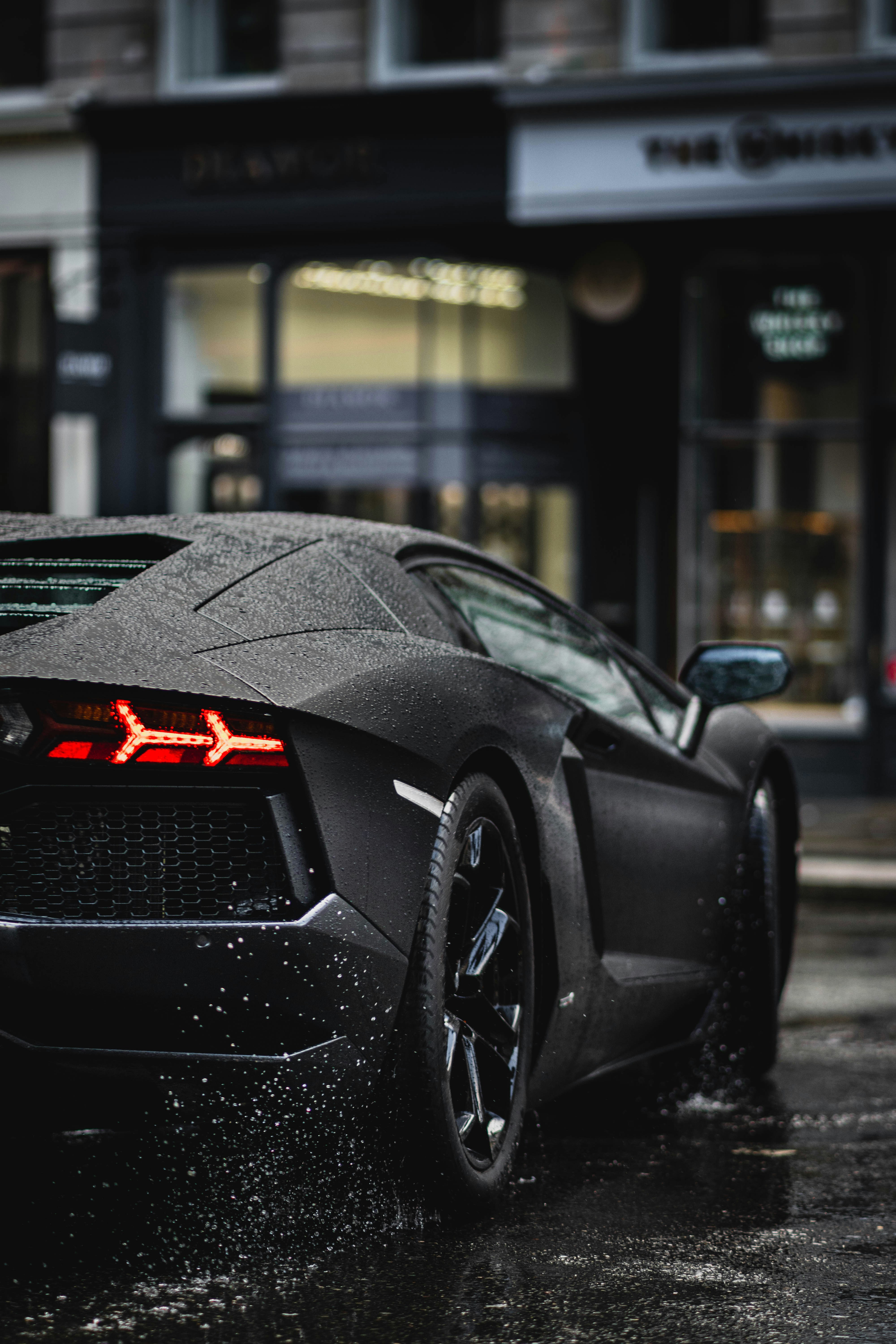 The Biological Muscle Car: Why Life Built the Ego