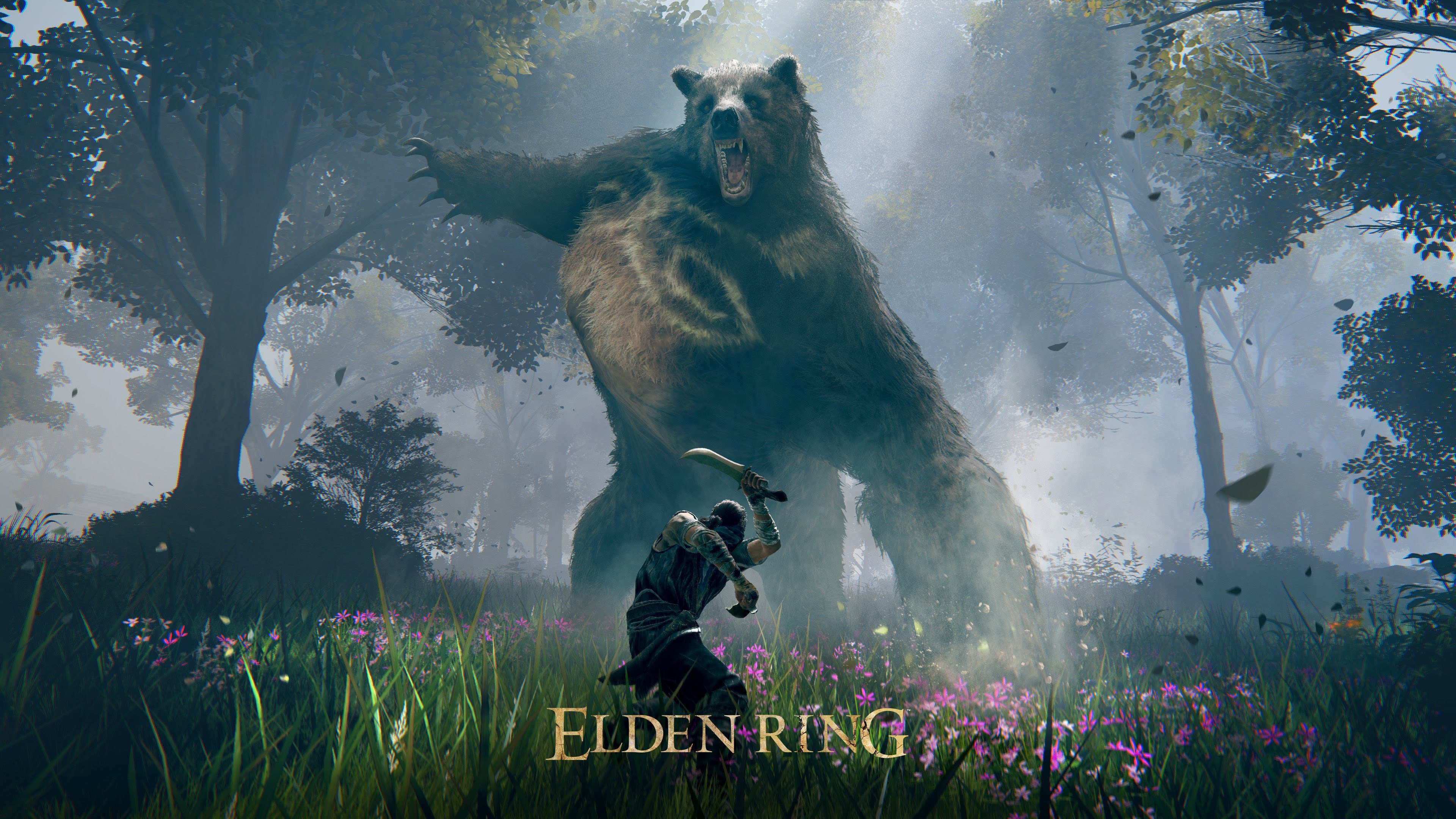 Elden Ring screenshot 4