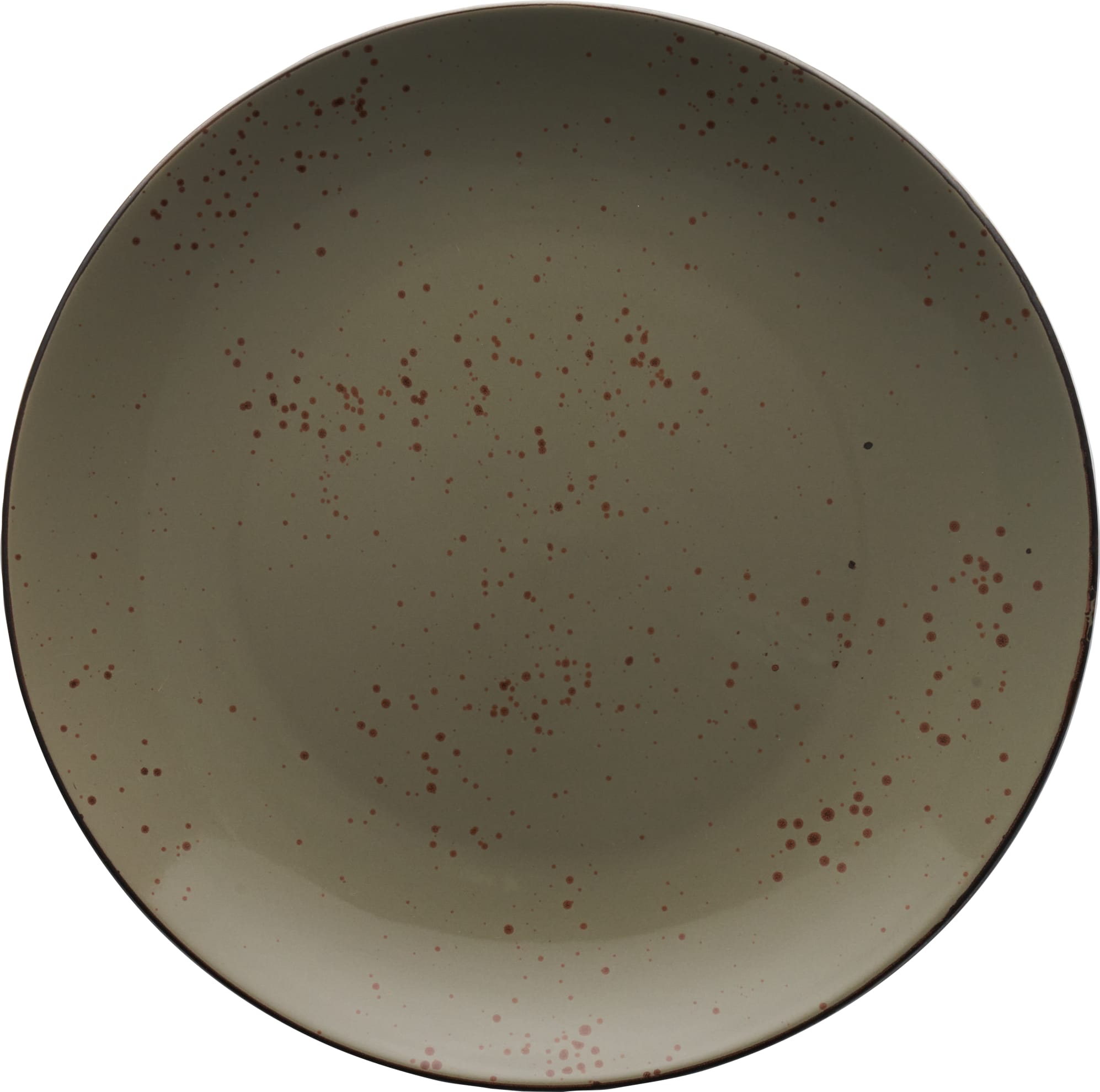 International Tableware SH-16-GS Splash Stoneware Green Smoke w/Dark Brwn Plate 10-1/2"