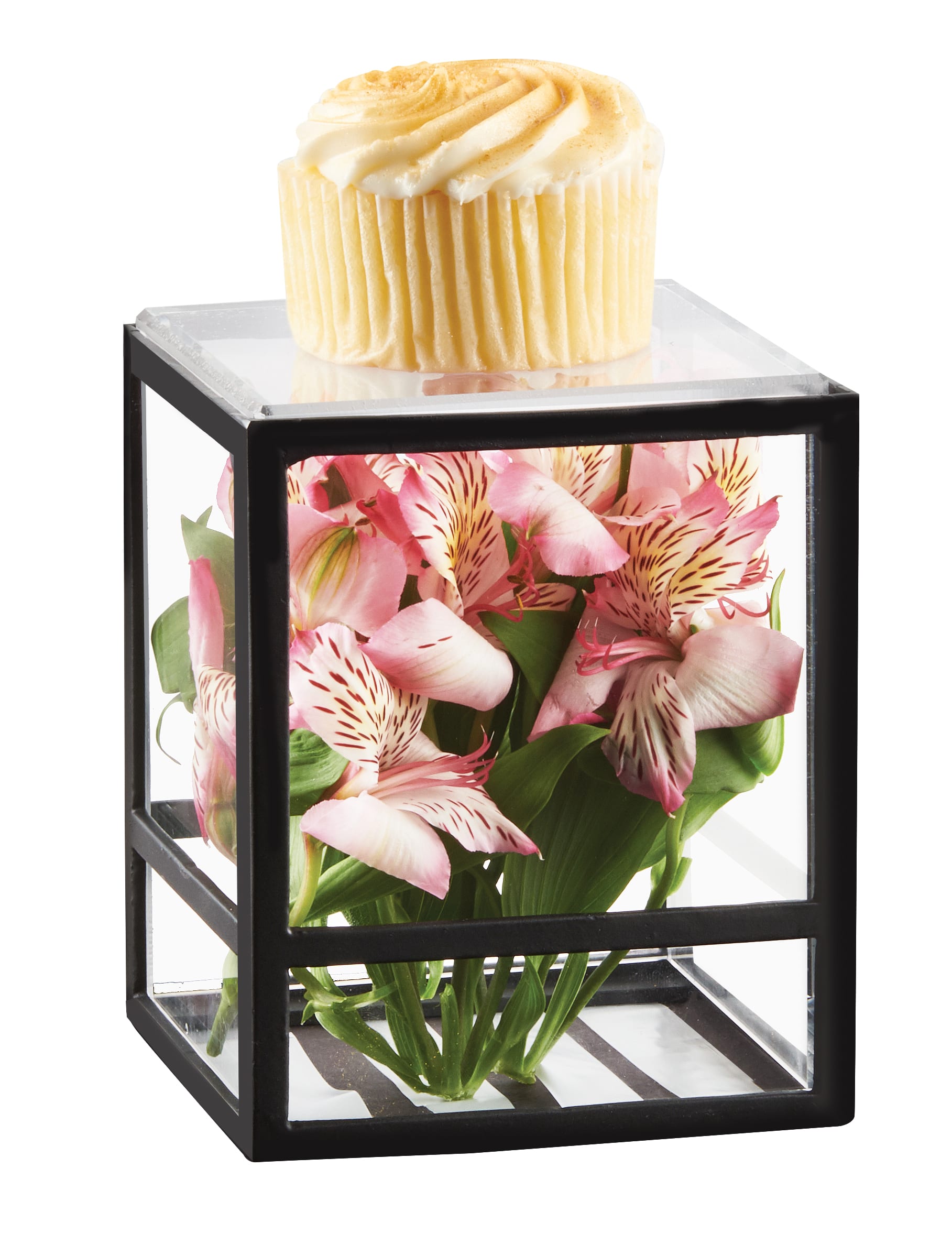 Cal-Mil 22076-13 Monterey Square Presentation Case, 5" X 5" X 6", Black