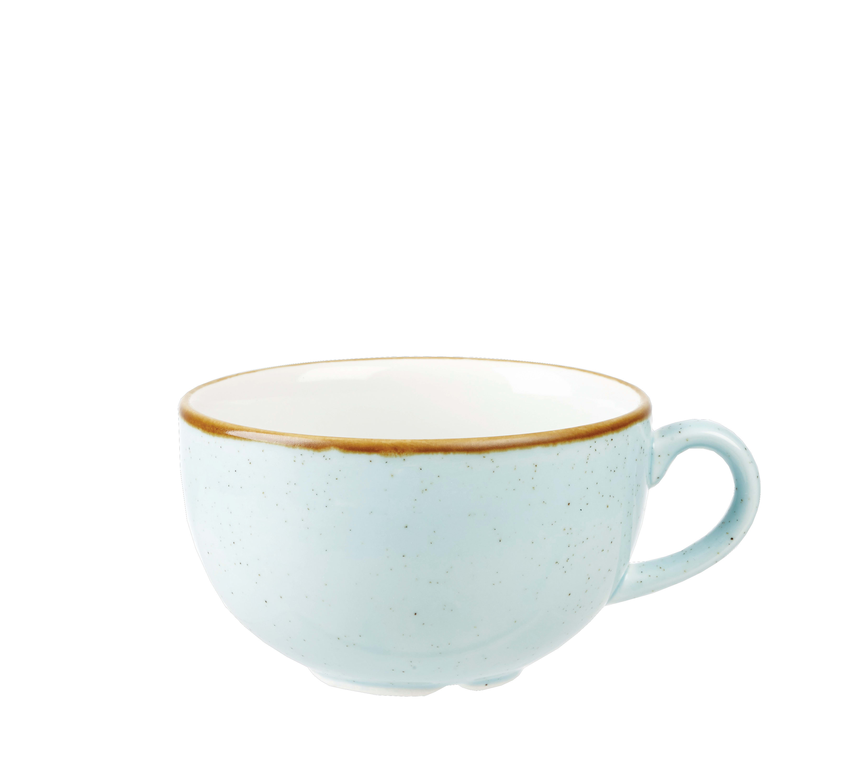 Churchill SDESCB401 Stonecast Duck Egg  Cappuccino Cup 16Oz