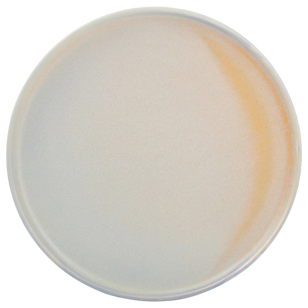 Mikasa 5315560 Volta 11.2" Round Lavender Coupe Rim Plate