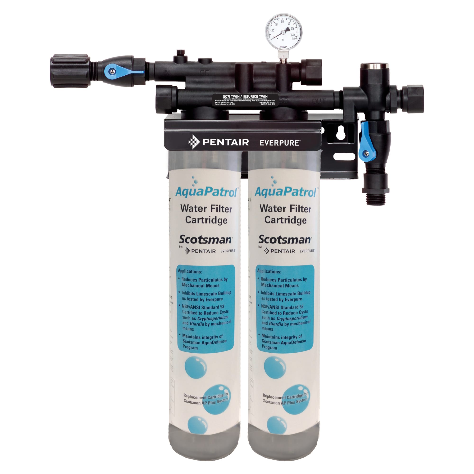 Scotsman AP2-P AquaPatrol™ Twin Water Filtration System