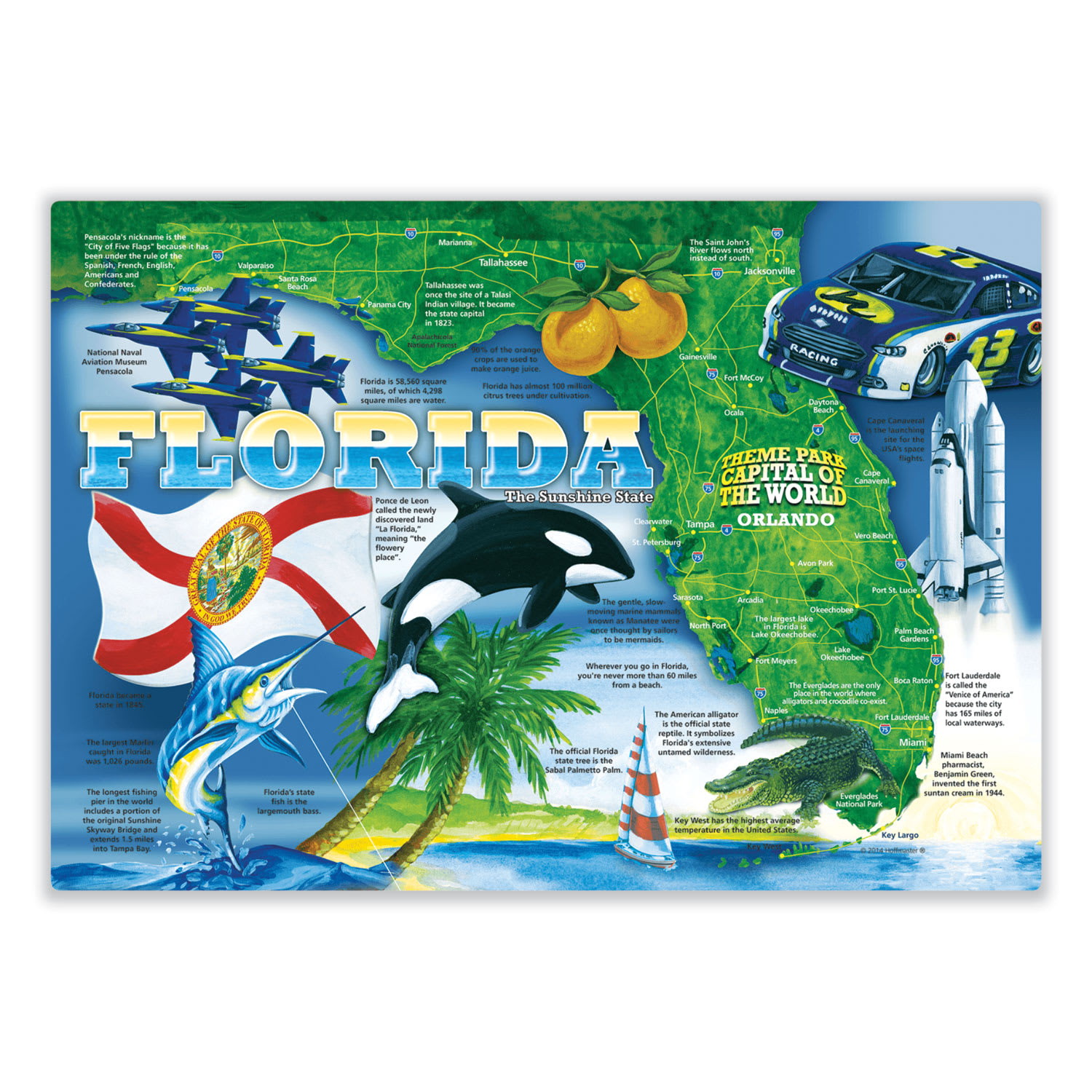 Hoffmaster HFM311110 Placemats, Culture and Geography of Florida, Smooth Surface, Straight Edges, 14" x 10", Blue/Green/Orange, 1,000/Carton