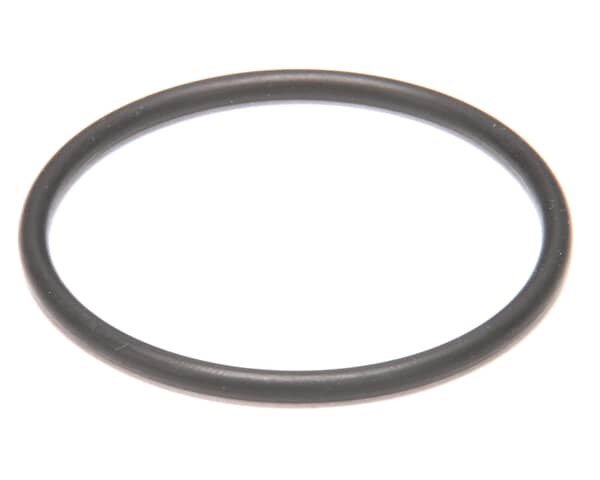 Manitowoc 000005583 Lower O-Ring