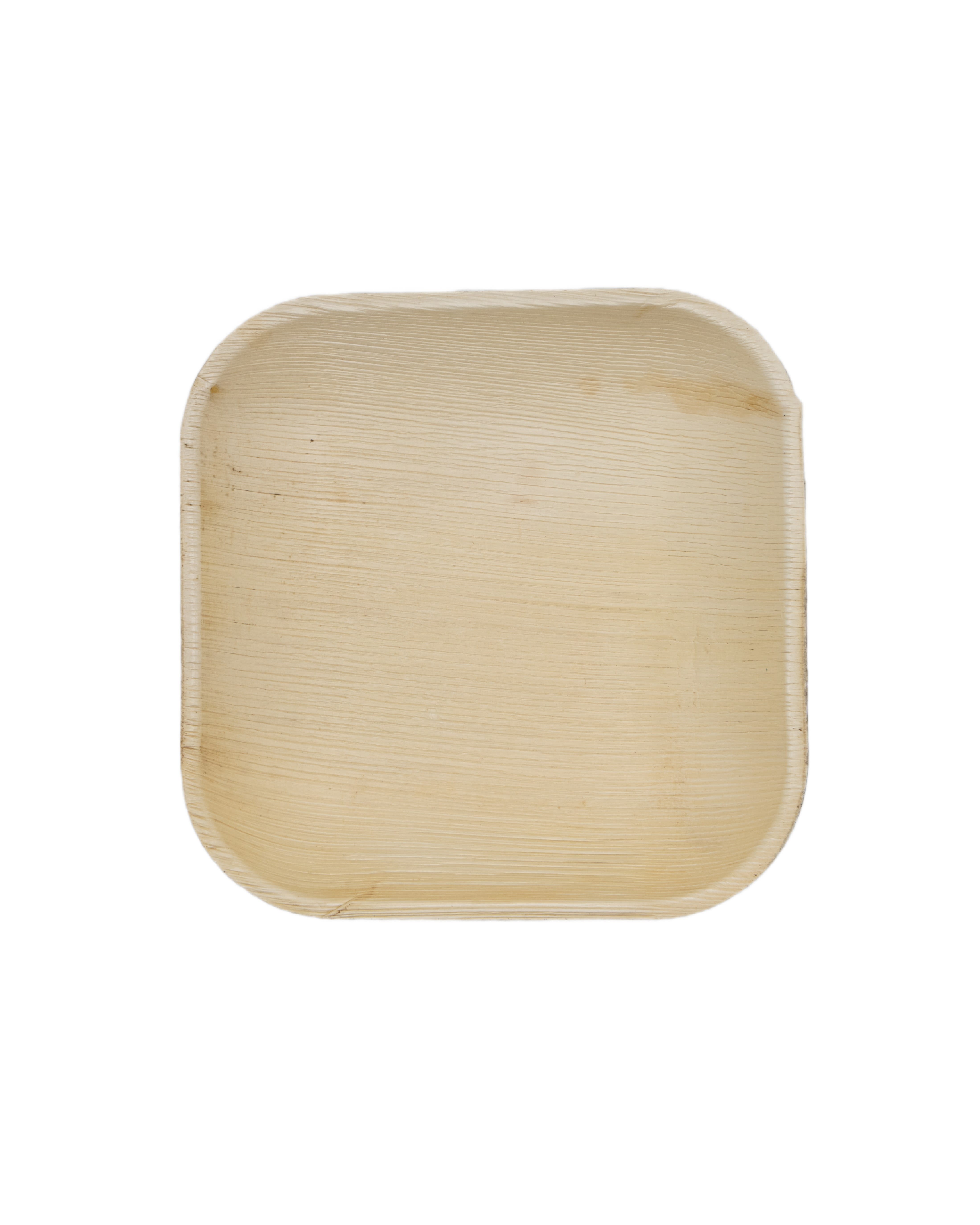 Verterra 01-20-25B 9x9 Square  Plate - 300 pcs