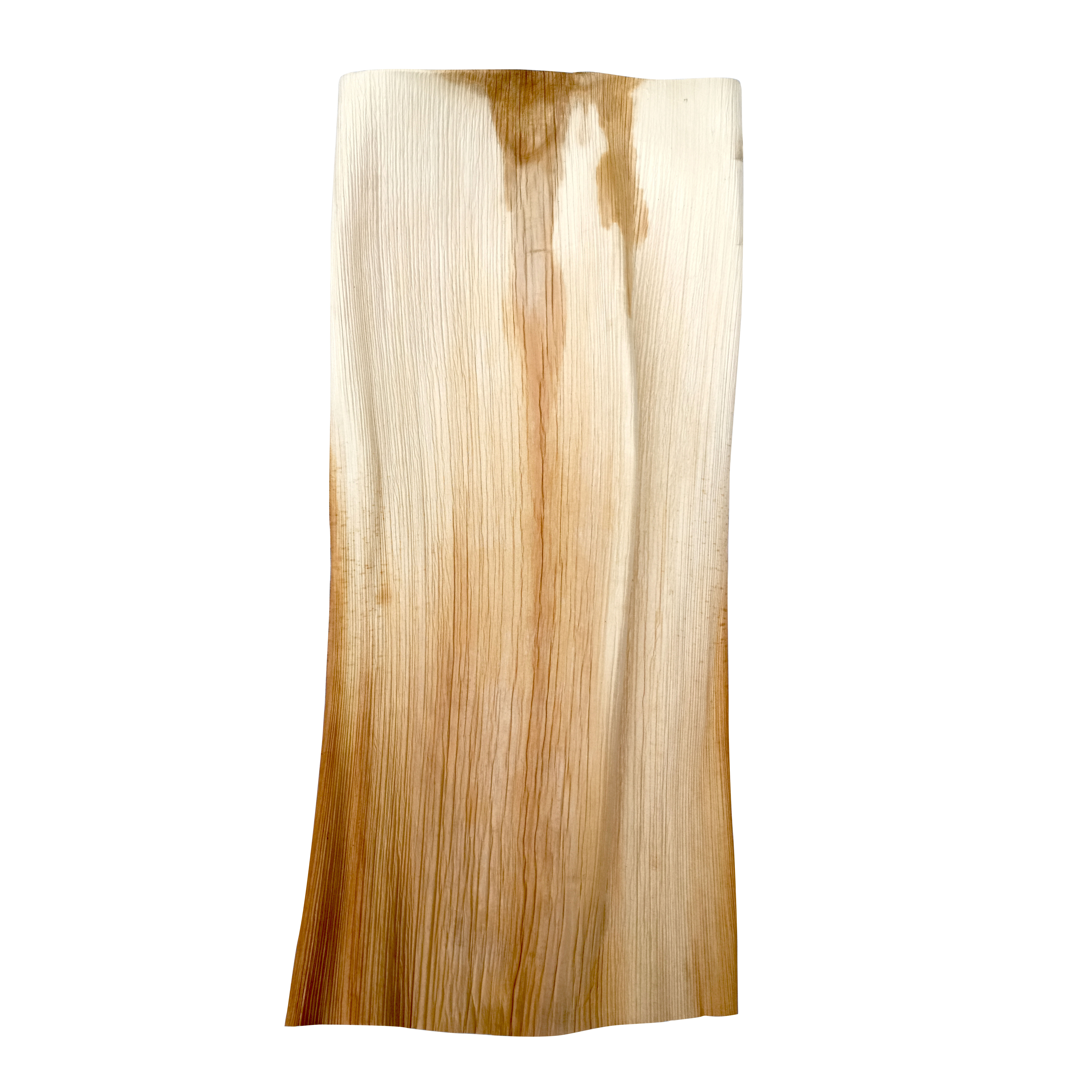 PacknWood 210APLEAF Palm leaf