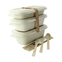 PacknWood APURECBRBJN The Perfect Eco Friendly Delivery Kit - 500 VIP Set