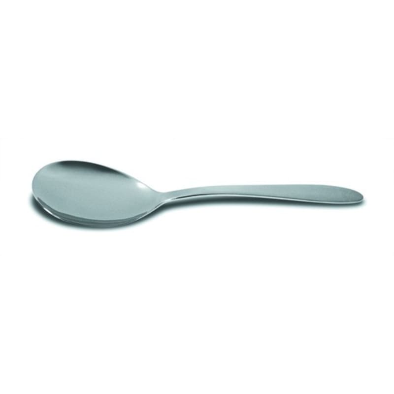 Dexter Russell V19021 31433 Basics Collection 9" Long Stainless Steel Fruit and Vegetable Serving Spoon