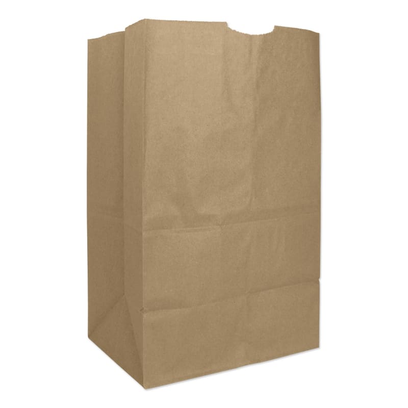 Ross & Wallace Paper Products BAGGH20S Grocery Paper Bags, 20# Squat Size, Heavy-Duty, 50# Basis Weight, 8.13" x 5.88" x 12.5", Kraft, 500/Bundle