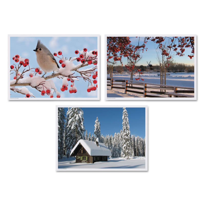 Hoffmaster HFM702079 Placemats, Three Winter Days Photo Designs, Smooth Surface, Straight Edges, 14" x 10", Multicolor, 1,000/Carton