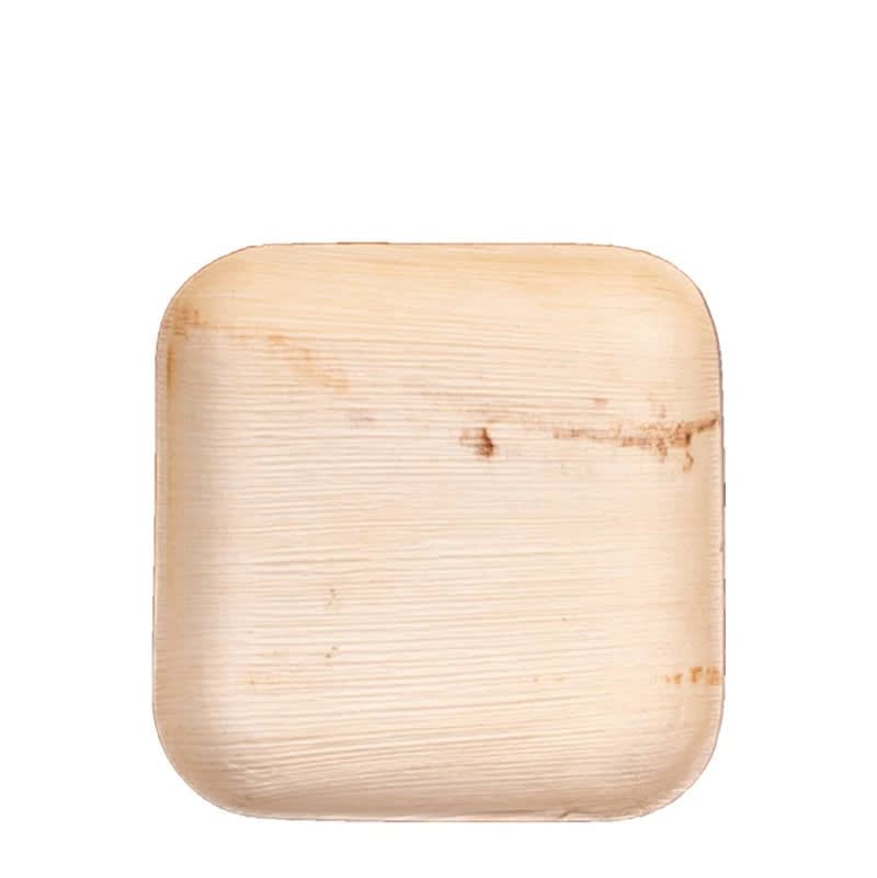 Verterra VER-PLS-06R 6X6 Square  Plate - 100 pcs