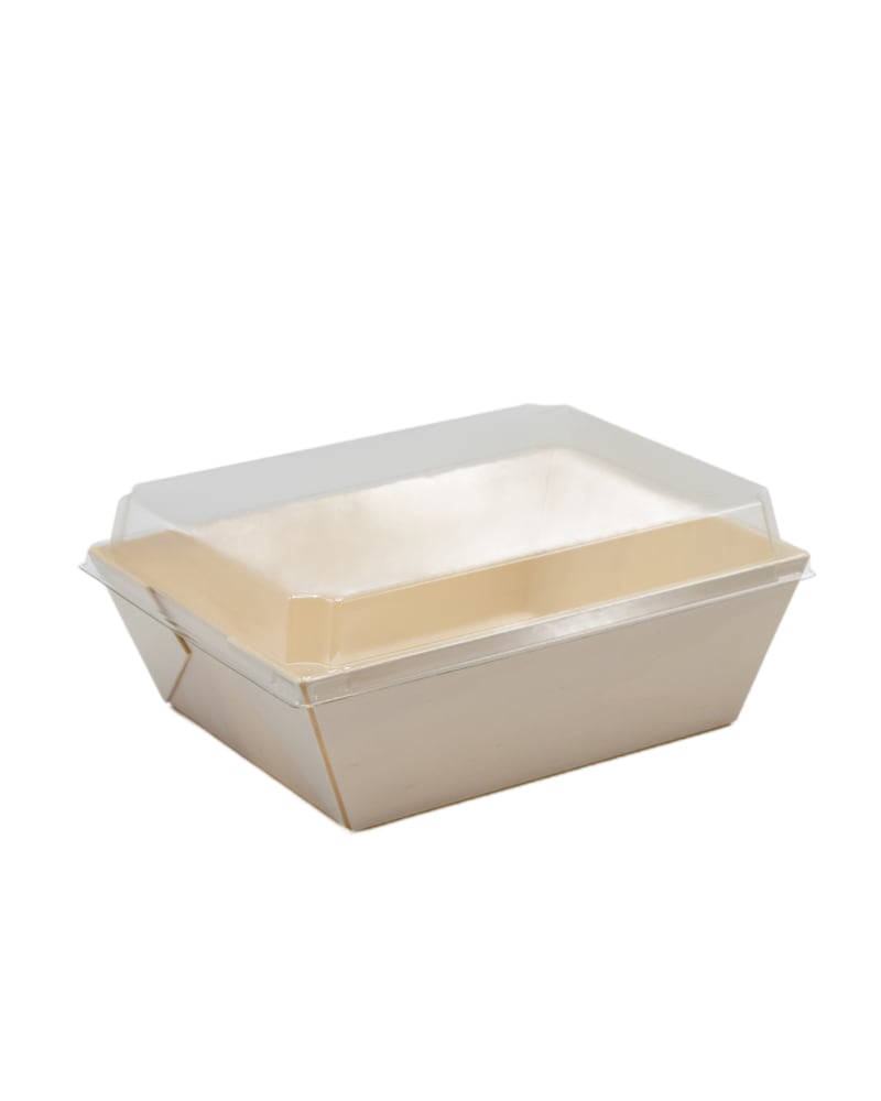 Verterra TG-CT-6x8D 6X8x3 Balsa Wood Tray with Clear Cover - 100 pcs
