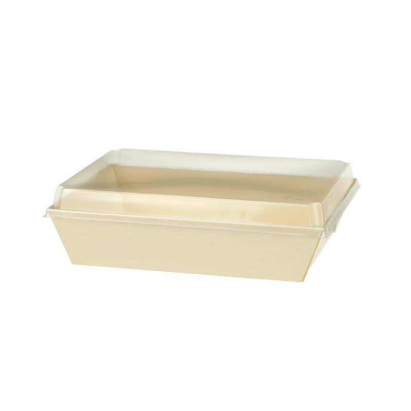 Verterra TG-CT-8x11X2 8X11x2 Balsa Wood Tray with Clear Cover - 50 pcs