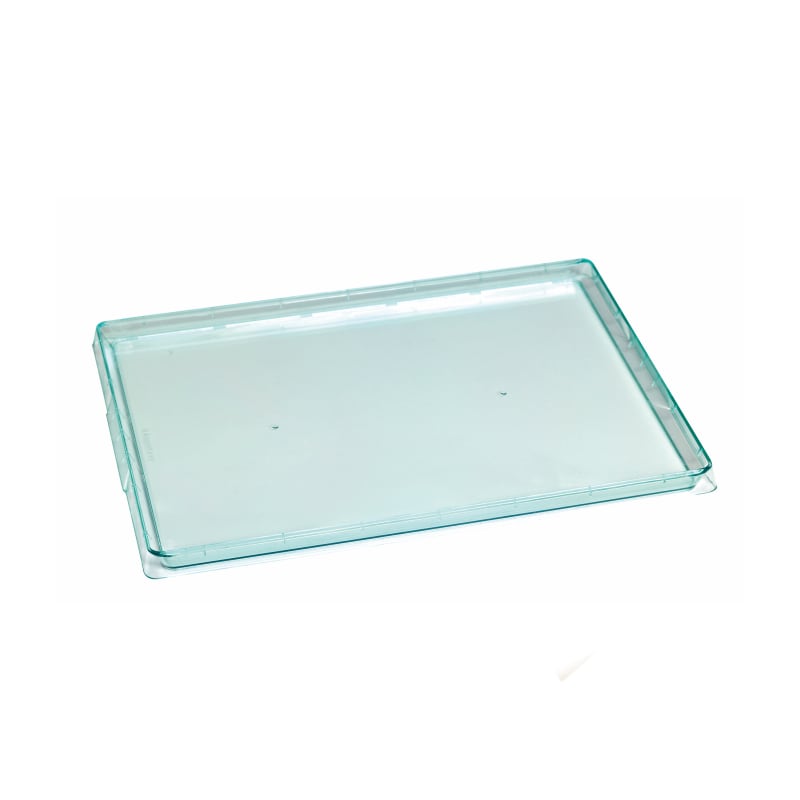 PacknWood 210KLARTRAY Klarity Rectangular Transparent Green Tray