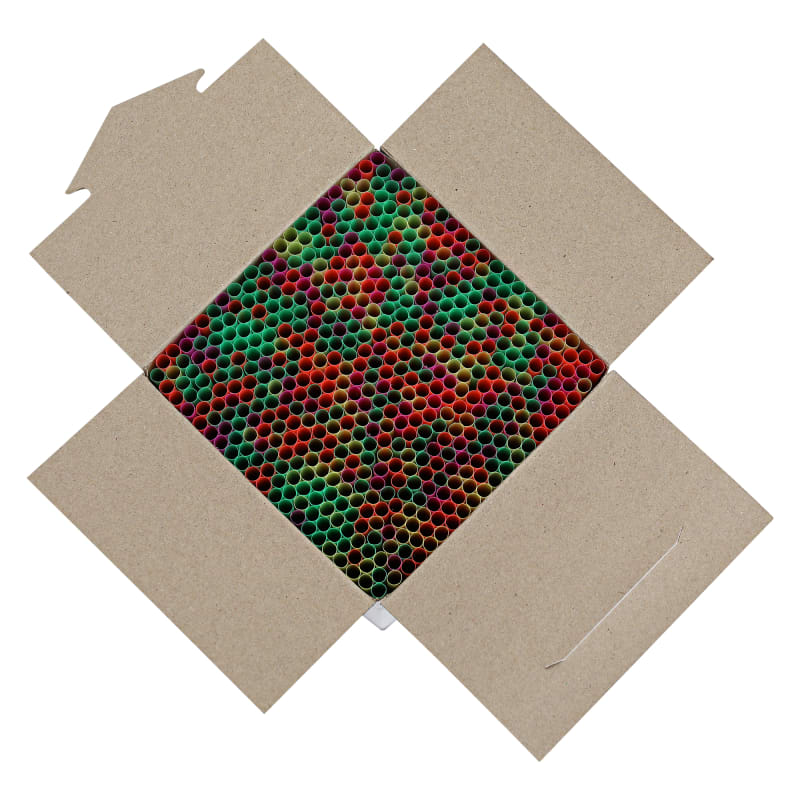 Empress E2100NE Jumbo Straw Unwrapped 7.75" Neon Assorted, Boxed