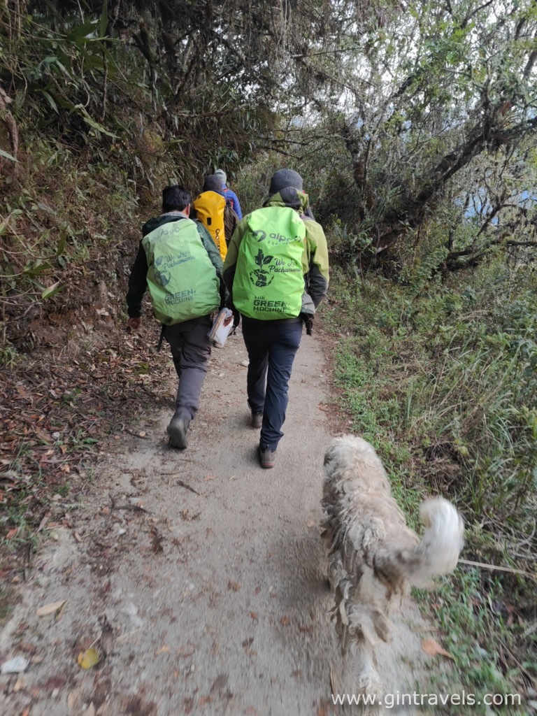 Our group and the dog on the way to Machu Picchu