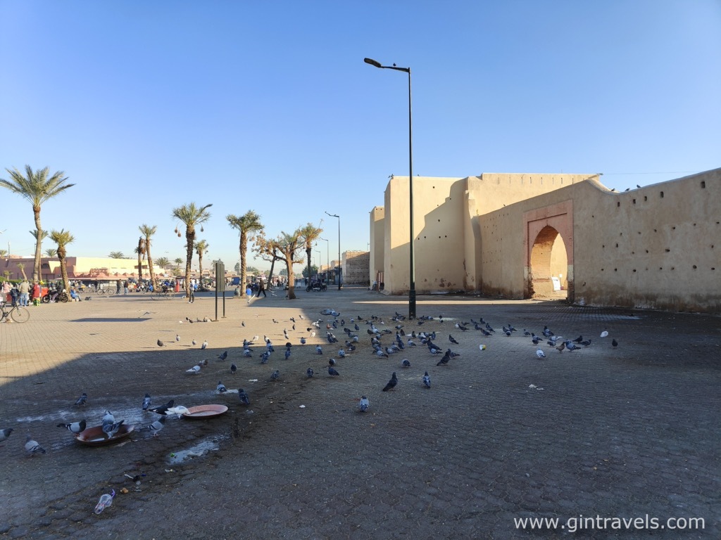 Pigeons by Bab Doukkala