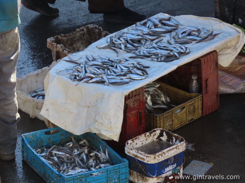 Fish market in Essaouira, pay attention to the bucket and containers