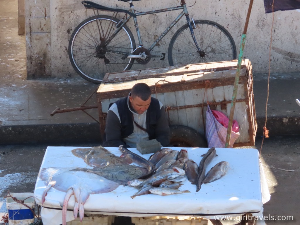 Port market selling fish, pay attention to bird feces around and dirty bucket