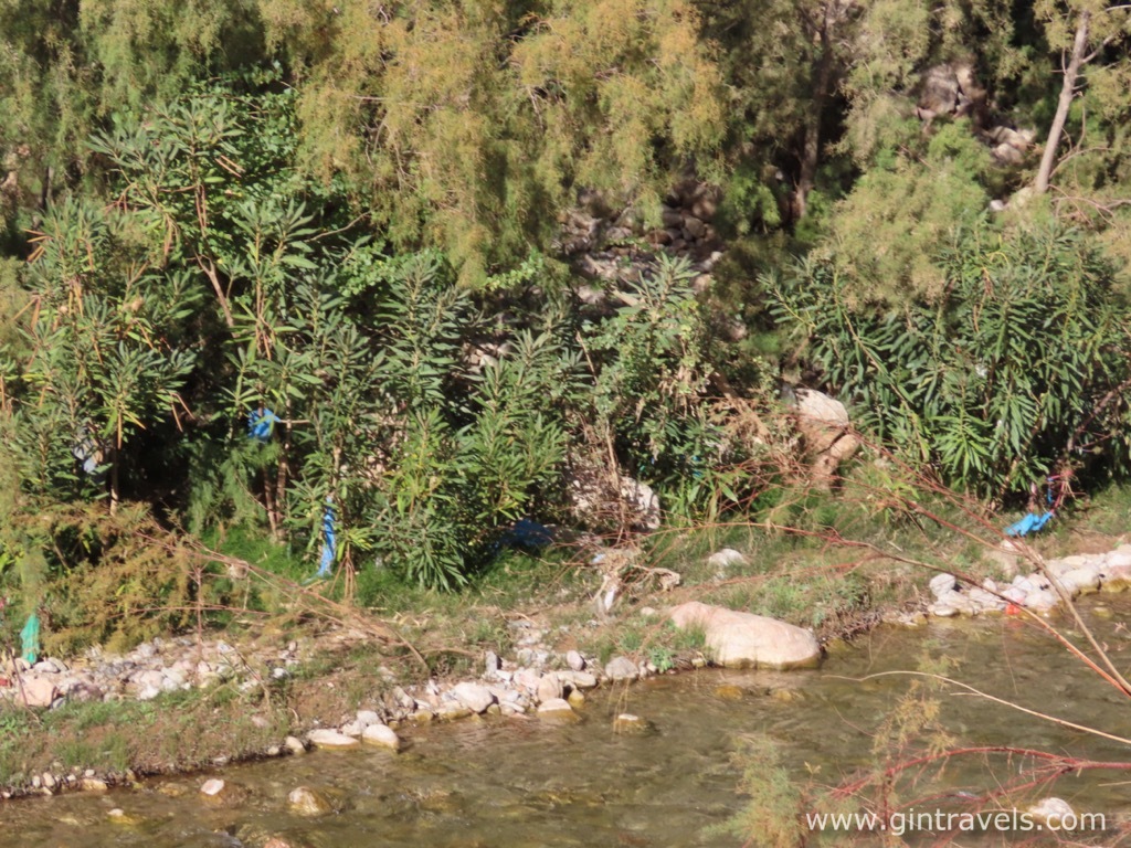 A stream and visible plastic trash