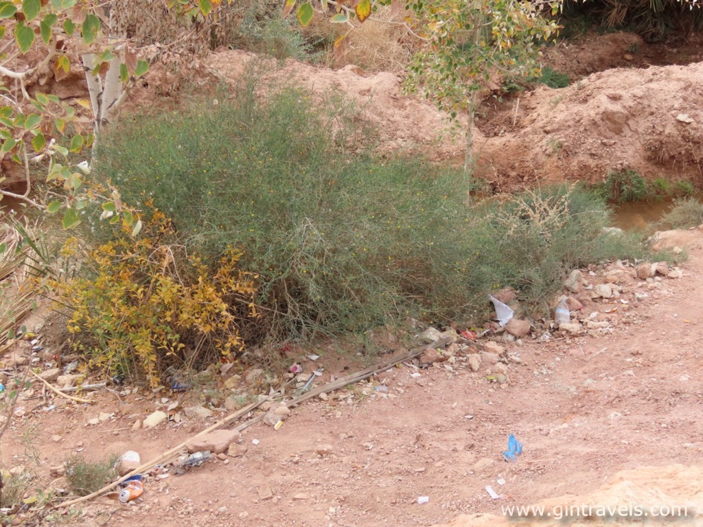 Trash tucked away on the side of the path