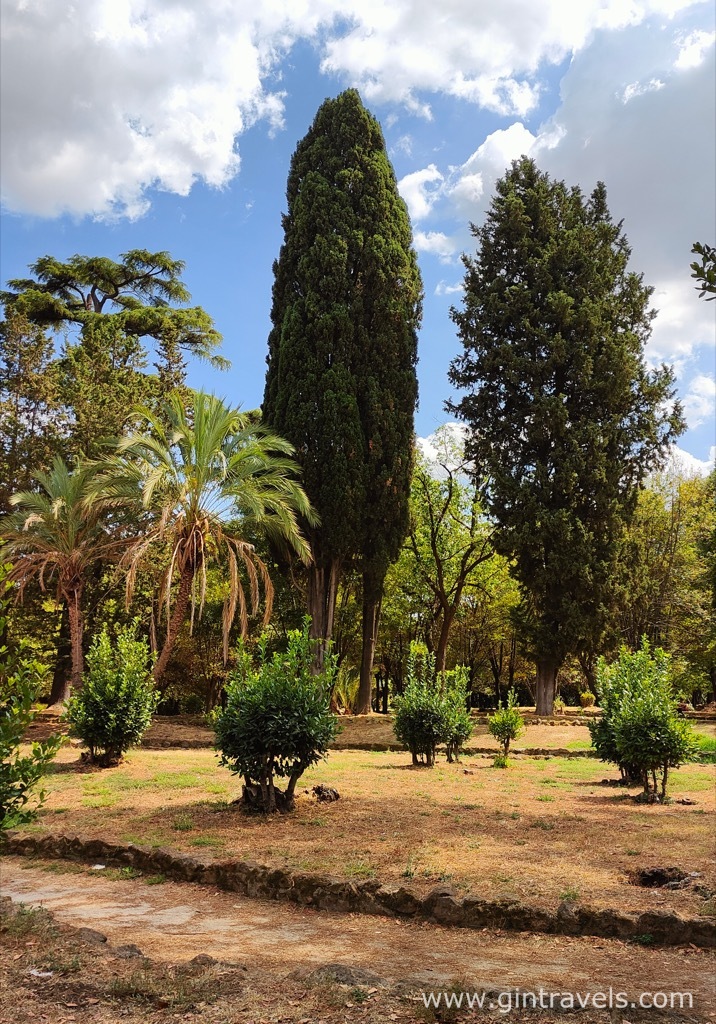 Bushes and trees in Villa Celimontana
