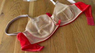 Fitting bra laid flat showing the inside, with sheer cup lining and red power net band