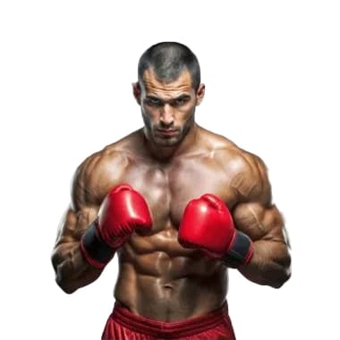 Boxing Gloves