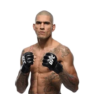 MMA Gloves
