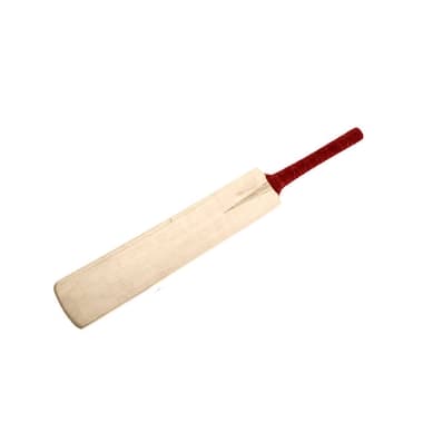Cricket Bats