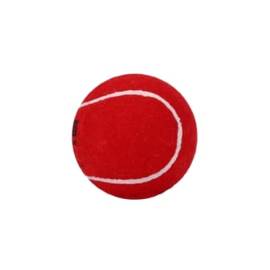 Cricket Balls