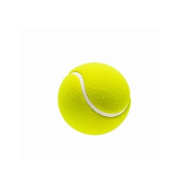 Padel Tennis Ball