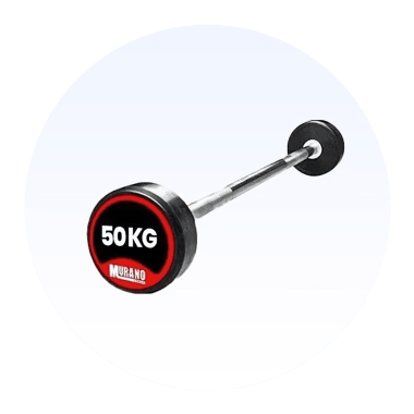 Fixed Barbells