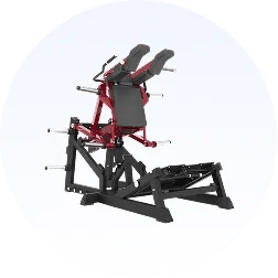 Plate Loaded Machines