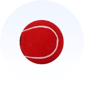 Cricket Balls