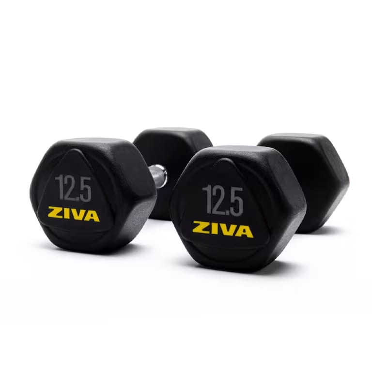 Ziva Performance Hexagon Steel Dumbbell