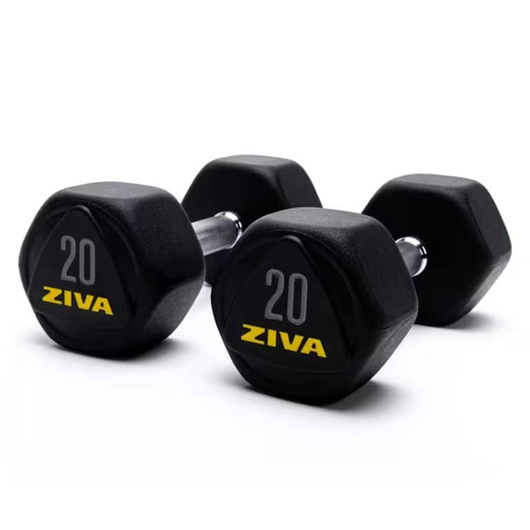 Ziva Performance Hexagon Steel Dumbbell
