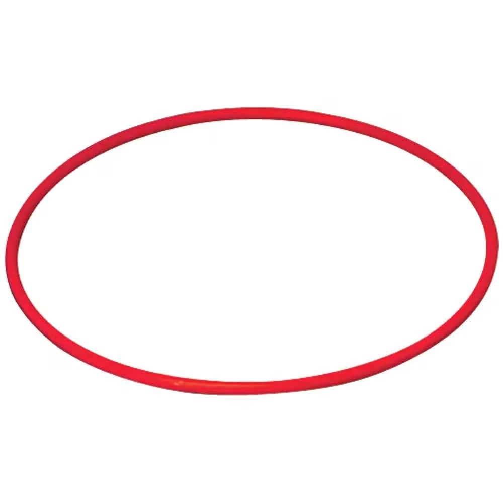 Dawson Sports Swimming Hoops (Set of 4)