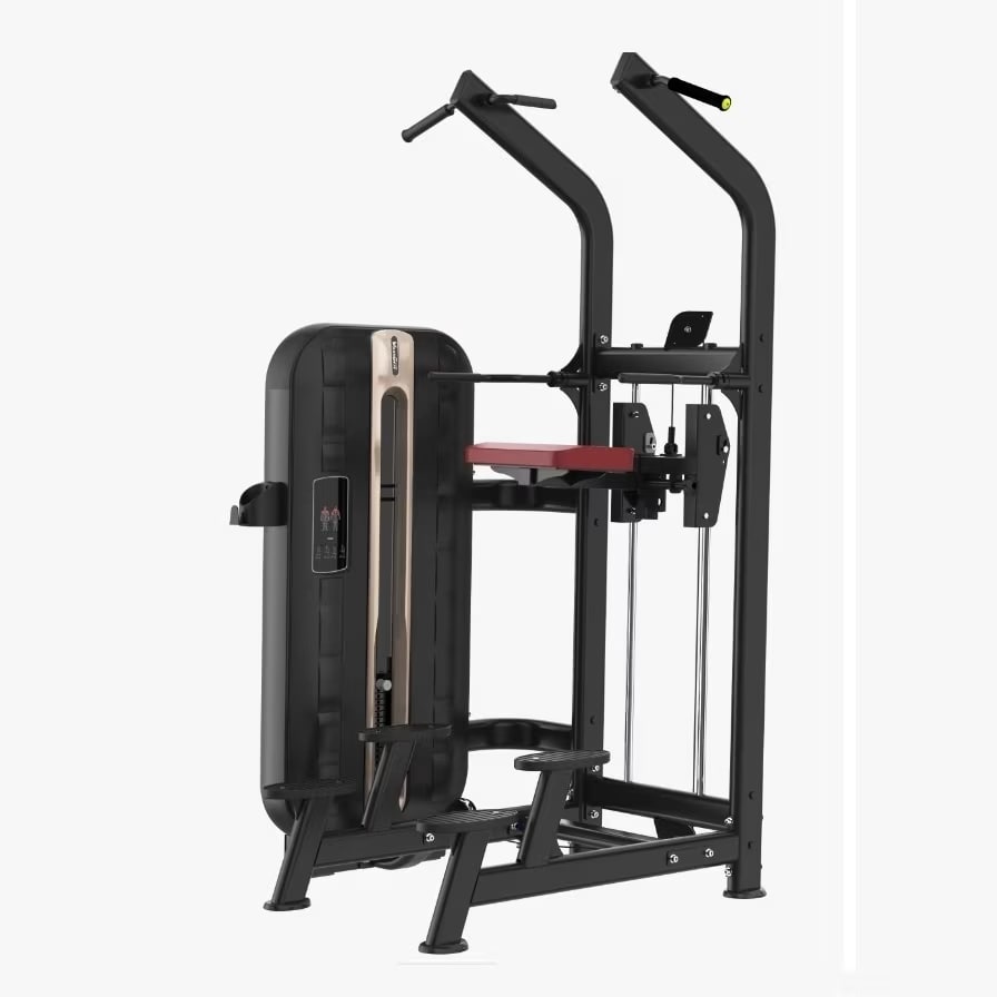 Volksgym Assisted Chin Dip prof C-08