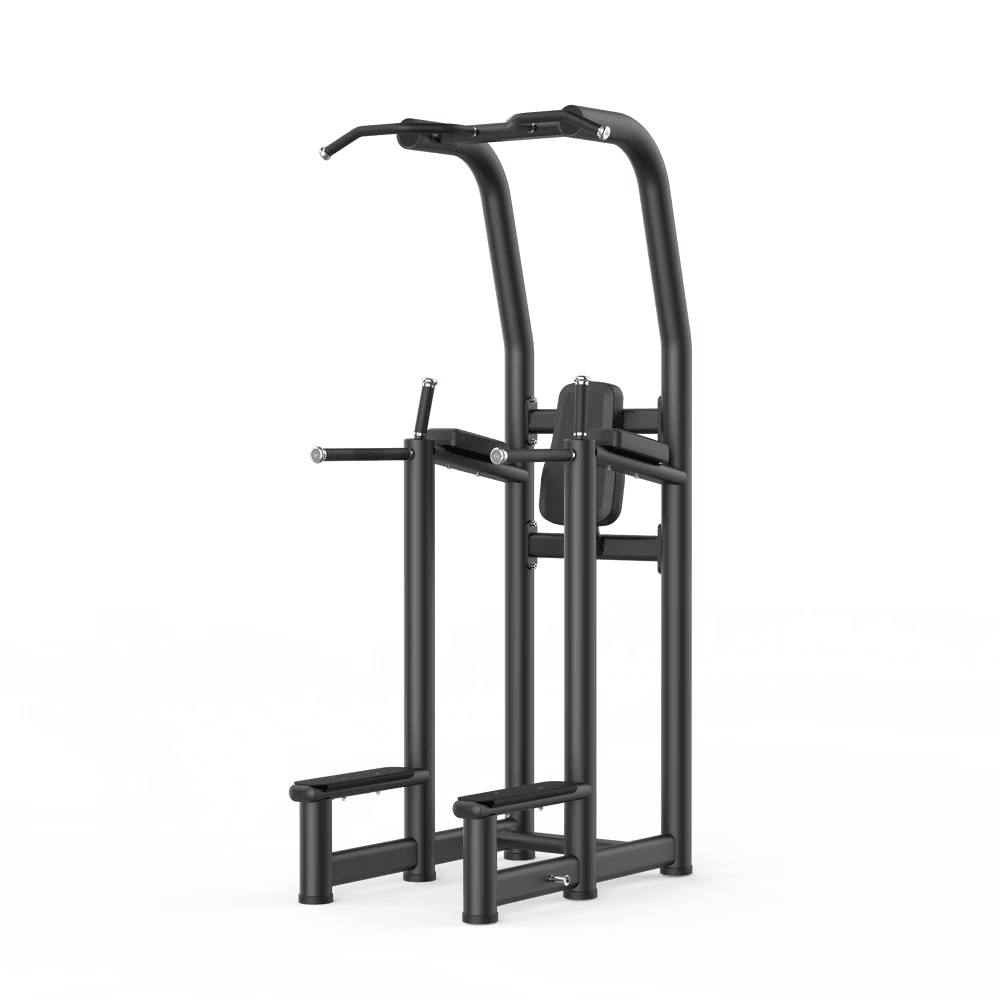 Insight Fitness Re Series Vertical Knee Raise Dip